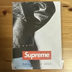 Supreme Fall/Winter 2025 カタログ ポスター