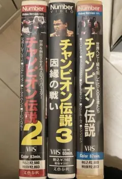 新品未開封』 逃亡者 日本語吹替版シーズン3 全30話 DVD - メルカリ