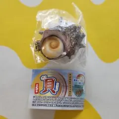 【サザエのつぼ焼き】パカッと開く　ざ！貝マスコット 　トイズスピリッツ