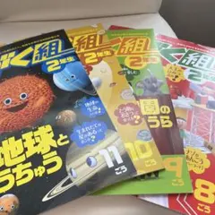 進研ゼミ小学講座 かがく組2年生8〜11ごう 4冊セット