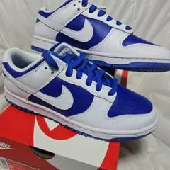 NIKE DUNK LOW RETRO 