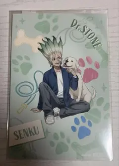 Dr.STONE with Dogs 特典ポストカード 千空