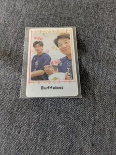 ぴーすけ様 リクエスト 2点 まとめ商品