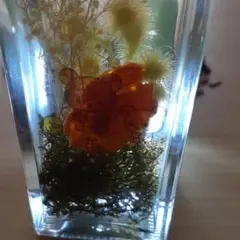 ラリックマ、コリラックマ、キイロイトリの置物