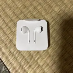 Apple EarPods lightning