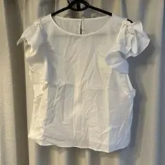 Item thumbnail for item 5a694ea9-a875-4caa-a240-d696b80e381f