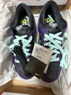 Nike Dunk Low Retro LTD Wizard 25cm