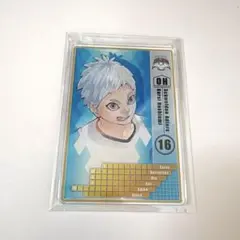 ハイキュー　星海光来　ステータスカード