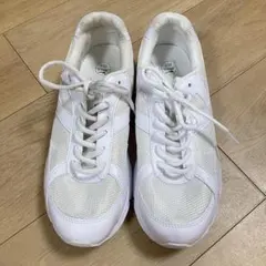 Item thumbnail for item 920125fa-40ec-4ca2-a94e-2f934ffb5d22