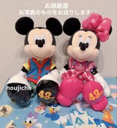 新品　ディズニーランド　トゥーンタウン　ぬいぐるみ　ミッキー＆ミニー