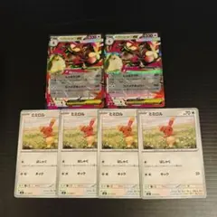 メガミミロップex ミミロル セット b