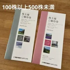 東急不動産ホールディングス　東急ハーヴェスト宿泊等優待券 冊子