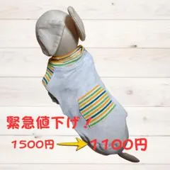 Item thumbnail for item 3868ea29-53b4-4fc1-a0e2-a3abcdd8cd9d