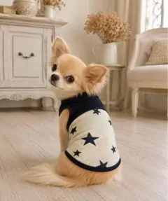 犬服 ハンドメイド M トイプーチワワ 小型犬 春夏 星柄 タンクトップのサムネイル