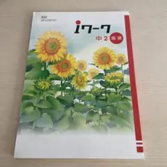 YYY様 リクエスト 2点 まとめ商品