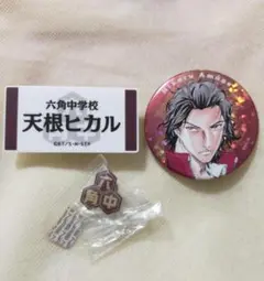 新テニスの王子様 テニプリ 庭球浪漫 缶バッジ 天根ヒカル - メルカリ