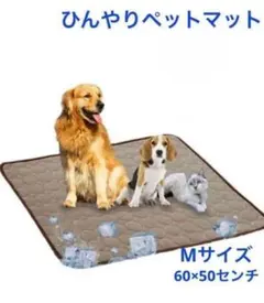 Item thumbnail for item 48811e08-7606-4894-a70b-82ae46ae1184