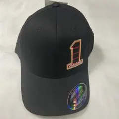 Item thumbnail for item ce993beb-0090-4826-b5e9-e3ba3d95d358