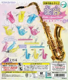 楽器アピるチャーム【フルート ピンク】