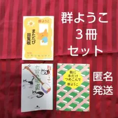 群ようこ 短編集 3冊セット