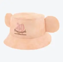 ディズニー 40周年 バケハ