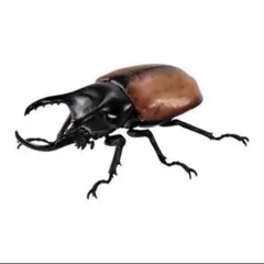 Item thumbnail for item 3a763533-a522-4f29-8386-a6350a66a659