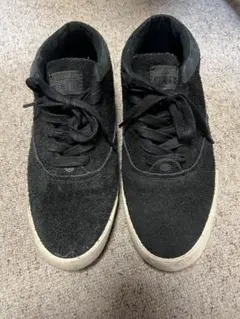 Item thumbnail for item 32375545-f722-4a83-a082-9628d5f0111c