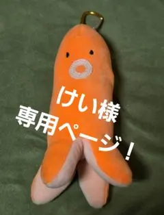 けい様専用ページ！
