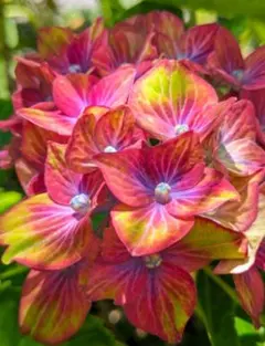 しょうこ様 リクエスト 2点 まとめ商品