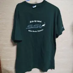 anvil Silver Surfer Vaporizer Tシャツ