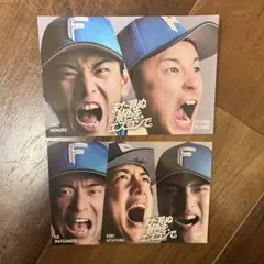 ファイターズ野球選手ポストカードセット