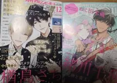 月刊マガジンビーボーイ 2025年11.12月号