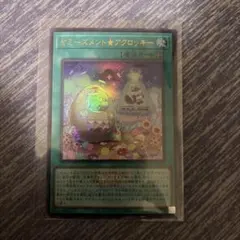ヤミーズメント☆アクロッキー　ウルトラ　WCS2026 ロゴ入り