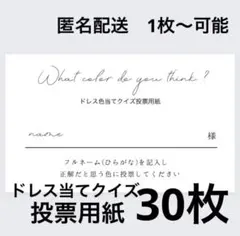 投票用紙30枚