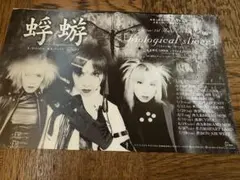 2026年最新】蜉蝣の人気アイテム - メルカリ