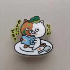 ネコイチ／ほうれん草カレーニャ　「なにかもんだいでも？」アクリルスタンドクリップ