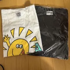 Item thumbnail for item b4a7349f-ac1d-4893-a2ad-82240afe76af