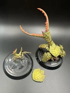 GENERAI様専用　モンスターハンター　アルセルタス&ゲネルセルタス亜種