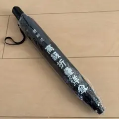 Item thumbnail for item 58f59cba-4b1d-4d89-b938-cfded2e41891