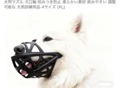 Item thumbnail for item bd9fd7e5-41f5-4c87-a468-1cd838b1d06f