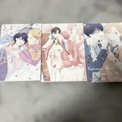 BL漫画 わが 3冊セット