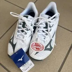 Item thumbnail for item 989beeca-1a09-4efe-8d6f-5c2de157bcc7