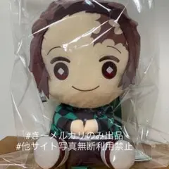 鬼滅の刃 ぽふっとぬいぐるみリュック 竈門炭治郎