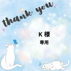 K様 リクエスト 3点 まとめ商品