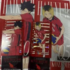 ハイキュー!! 黒尾鉄朗 孤爪研磨 チケットケース＆クリアカードセット