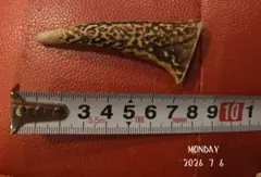 鹿の角 犬用おもちゃのサムネイル