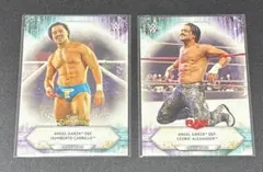 Item thumbnail for item 6a26203f-9ccc-4e91-aff6-1b86b663b753