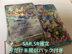 M*u様 【今だけおまけ付き】SAR,SR確定　ポケモンカード　100枚セット