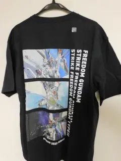 Item thumbnail for item 3be33e98-3a25-4a5f-9be6-8bde4e5b9cd5