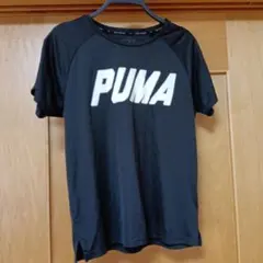 PUMA 黒 Tシャツ 160
